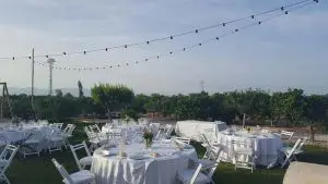Montaje en blanco con sillas madera blanco