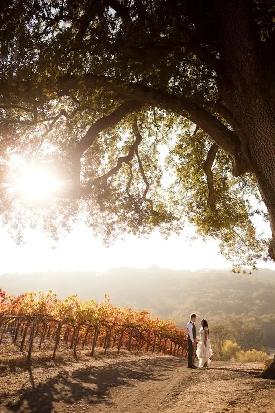 Lo mejor de celebrar tu boda en otoño 2 Boda en otoño