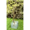 Arbol dorado de la vida, med. 1,30 al x 65 a – alquiler para eventos