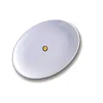 Bandeja arcopal lisa, med. 25 cm – alquiler para eventos