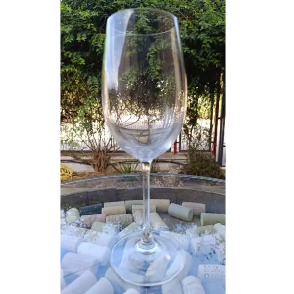 Copa Vino Bohemia 46 Cl Y 23,5 Cm. Altura – alquiler para eventos
