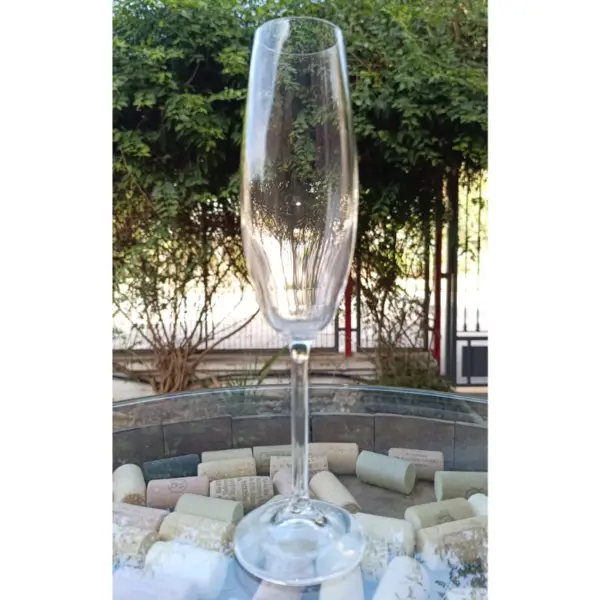 Copa Bohemia Cava 20 Cl. 24 Cm. De Altura – alquiler para eventos