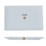 Plato rectangular, med. 30 x 20 cm – alquiler para eventos